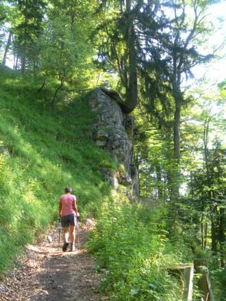 Wanderweg zur Hofalm