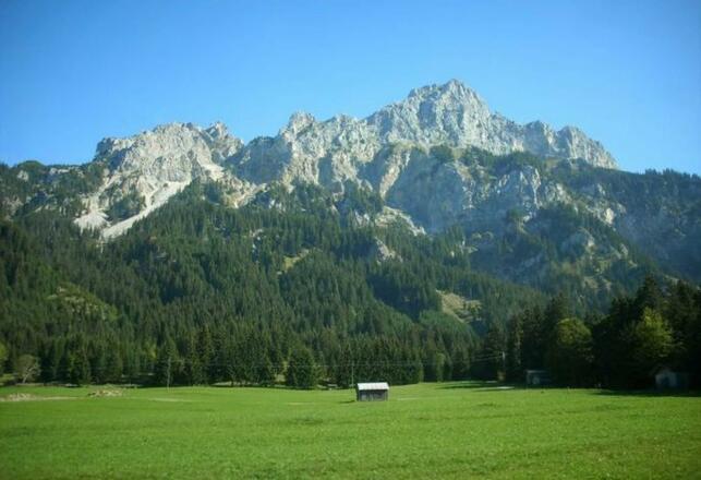 Fewo Löffler   Haus Tina