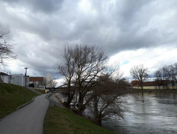 Donauufer