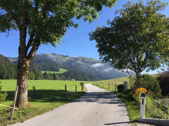 Pötting Richtung Walchsee