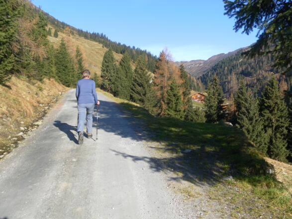 Steineralm im Dürnbachtal