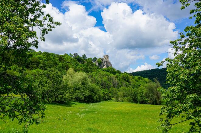 Blick aus dem Wiesenttal zur Burg Neideck