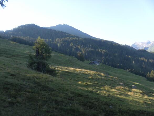 Zwölferkogel von der Bräuaste