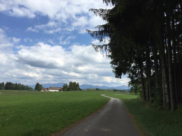 Pollinger Weiher Richtung Hachtsee