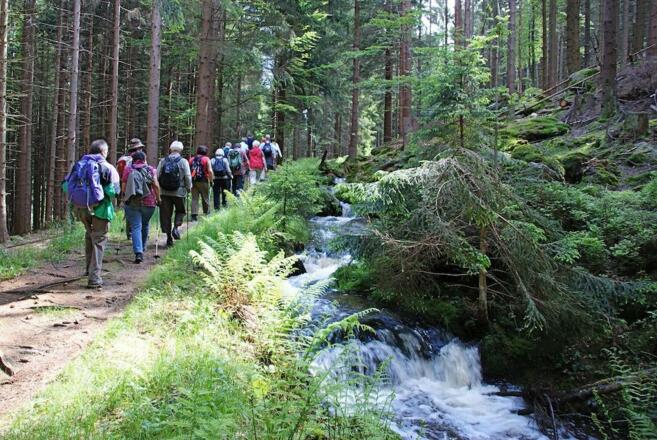 Wandergruppe unterwegs am Mühlgrabenweg