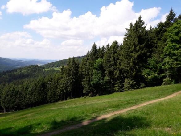Aussicht von Pröller-Skiabfahrt