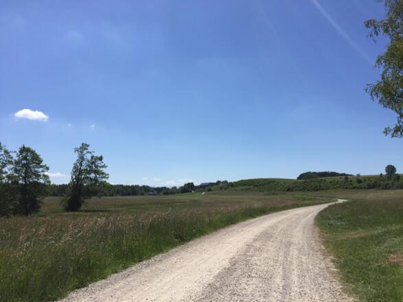 Radweg Richtung Biberkor
