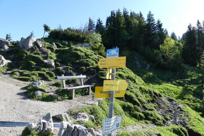 Am Abzweig links Wettersteinkalk, rechts Partnach-Formation