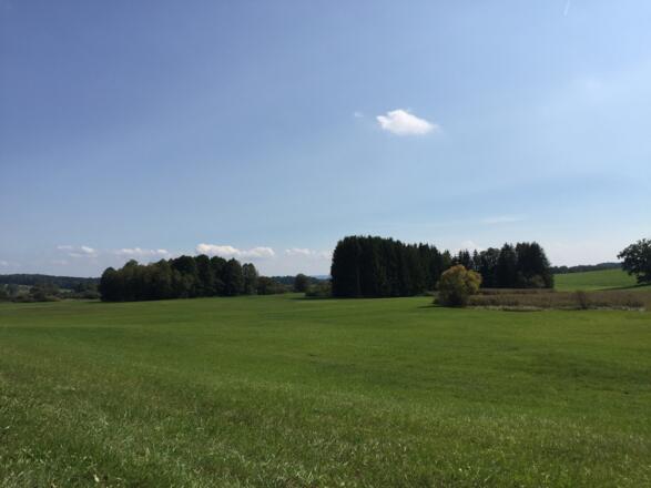Landschaft bei Eresing