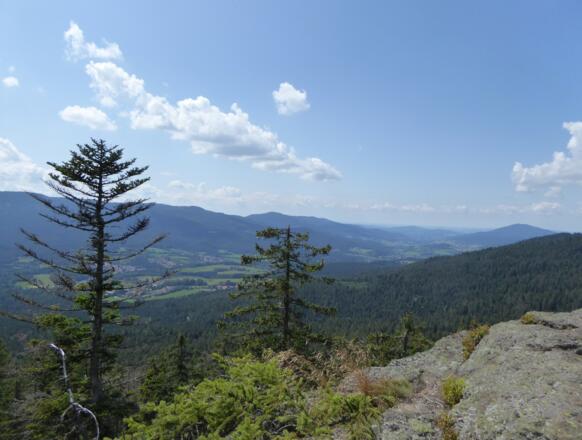 Aussicht vom Lohberger Steindl - 1.054 m NHN