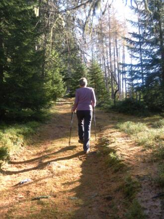 breiter Wanderweg