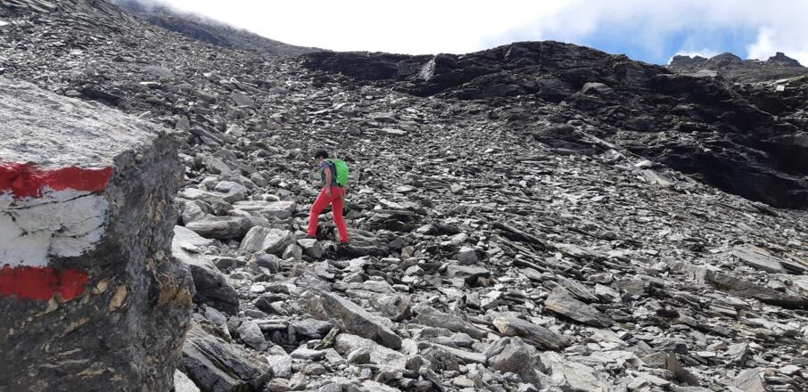 Steilstufe beim Aufstieg zum Kamm, der Weg durch das Blockgelände ist recht gut markiert, Absturzgefahr besteht nicht.