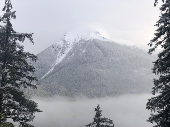 Der Steinberg im Frühling vom Kunterweg