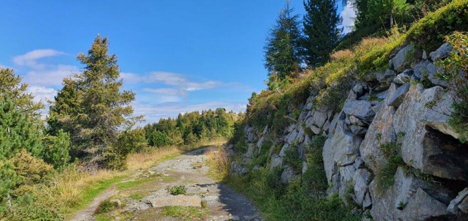 ab dem Grünbichl gehts dann wieder zurück zur Bergstation der Gondelbahn auf dem Zirbenweg.