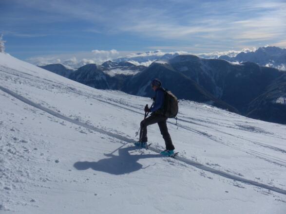 Dachstein und Gosaukamm hinter Trattberg