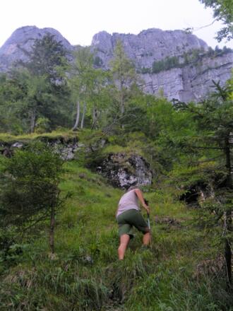 Am Laufsteig unter der Nordwamd