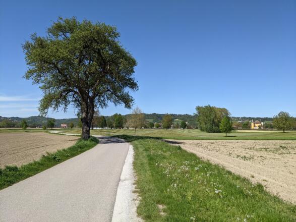Rechts bereits Schloss Mühldorf und links die Filialkirche Pesenbach im Blick