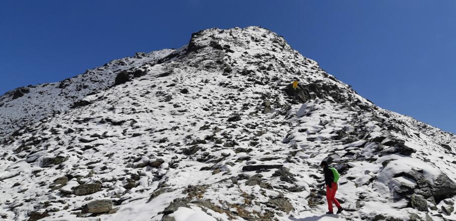 Auch in Gipfelnähe bleibt das Gelände mäßig steil.
