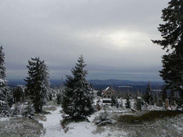 Blick auf das Waldschmidthaus