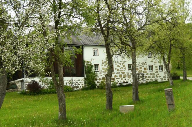 Blühender Obstgarten beim Bauernhof Großkranzer