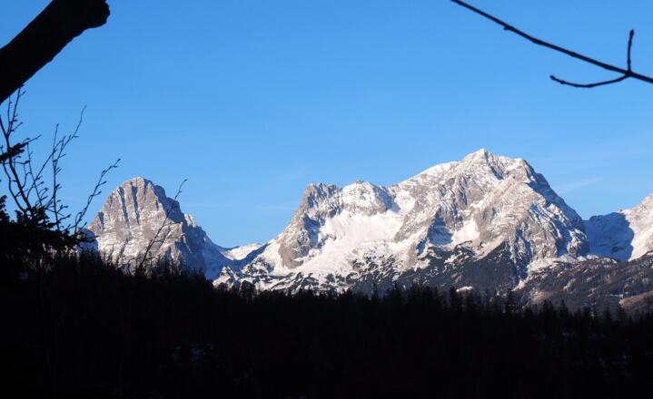 Rastplatz ~1195m, Spitzmauer und Gr.Priel