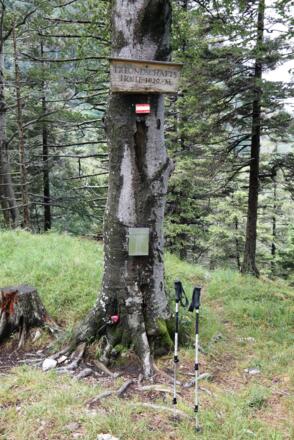 Der "Gipfel" der Freundschaftshöhe (1.020 m) mit Gipfelbuch und Holzschild.
