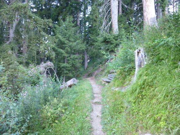 Der Koppensteig - ein Höhenweg