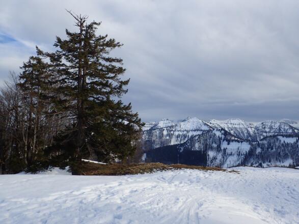 Die Gipfel vom Gennerhorn bis zum Frunstberg