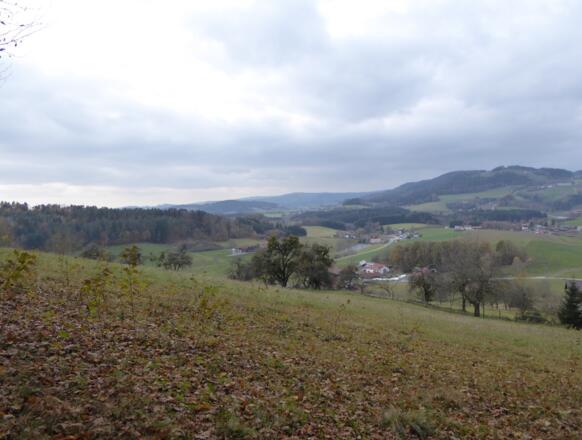 Blick zurück auf den Gallner