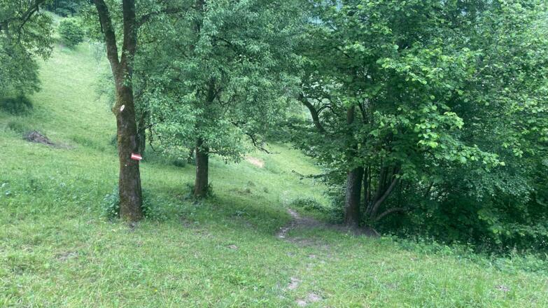 Bahnhof Ternberg - Herndleck Trail