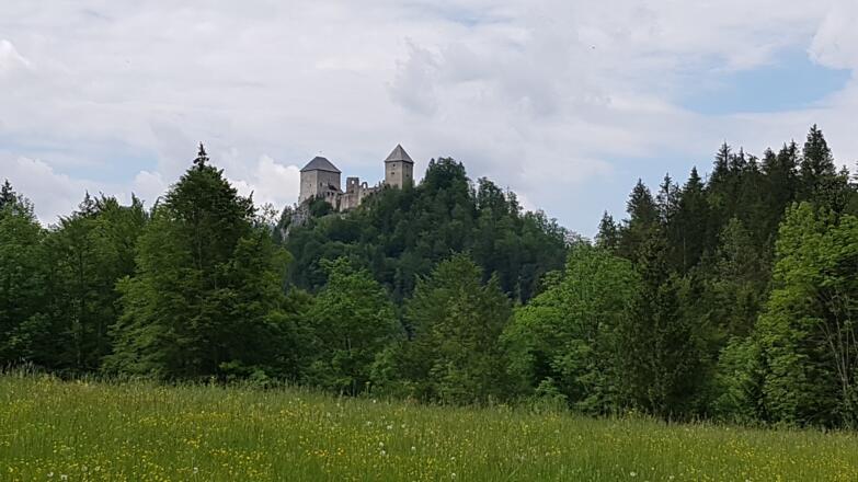 Burg Gallenstein in St. Gallen.