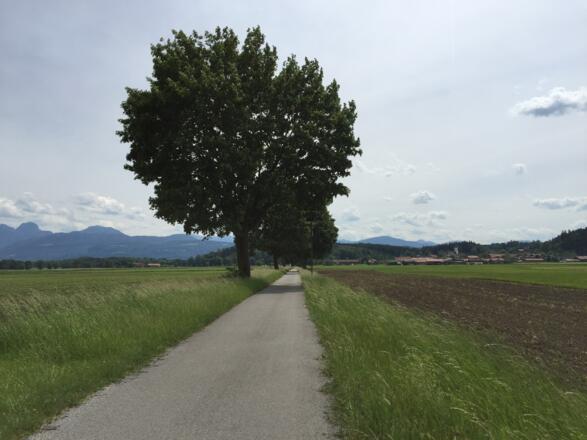 Radweg Richtung Berbling