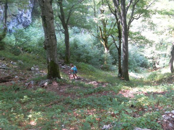 Einstieg in den Gurnwandsteig