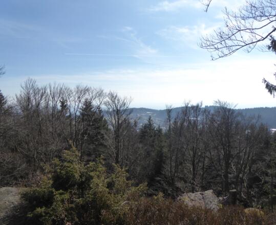 Aussicht vom Saustein