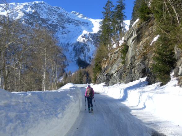 Rodelbahn/Mautstraße ab Stockerhütte