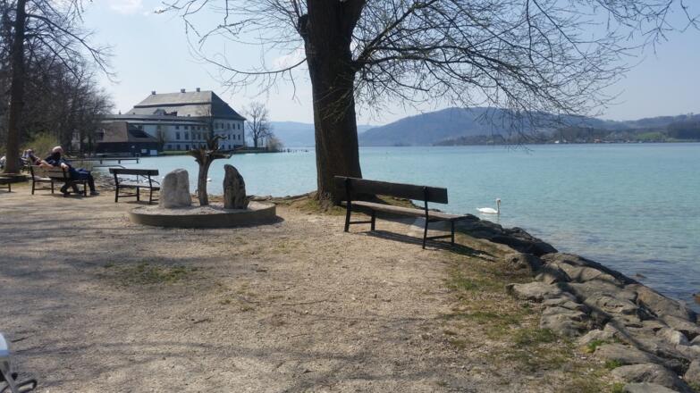 Kammer mit Schloss und Attersee im Bild