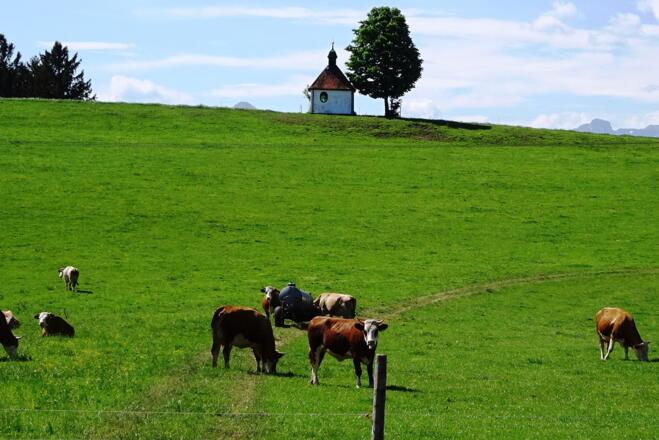 Kapelle bei Leibersberg