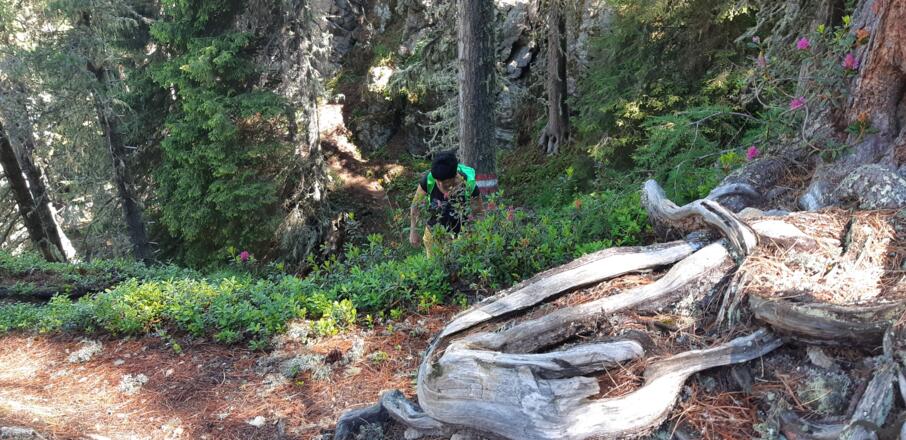 ... ohne Gefahrenstellen zur ...