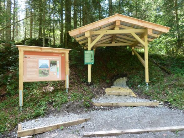 Station 6: Boden des Jahres 2018 - Der Alpine Felshumusboden