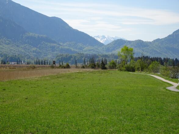 Im Kochelsee-Loisach-Moor