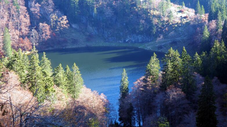 Wieder am Mönichsee