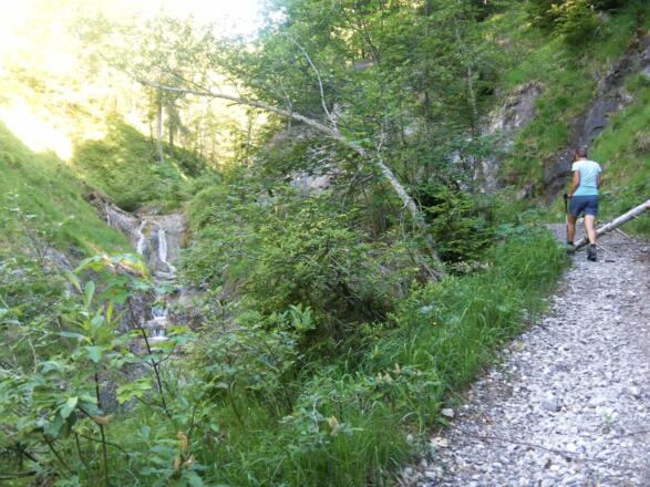 Kleines Wappbachtal