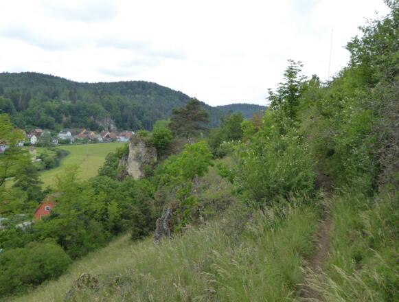 coole Pfade am Jurasteig