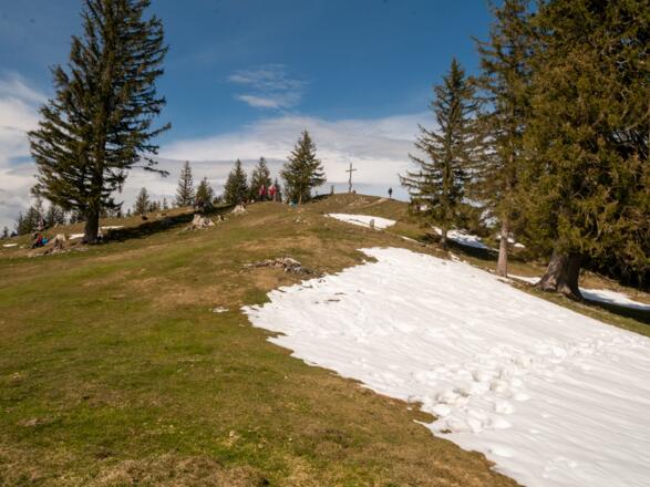 die letzten Meter zum Farrepoint Gipfel