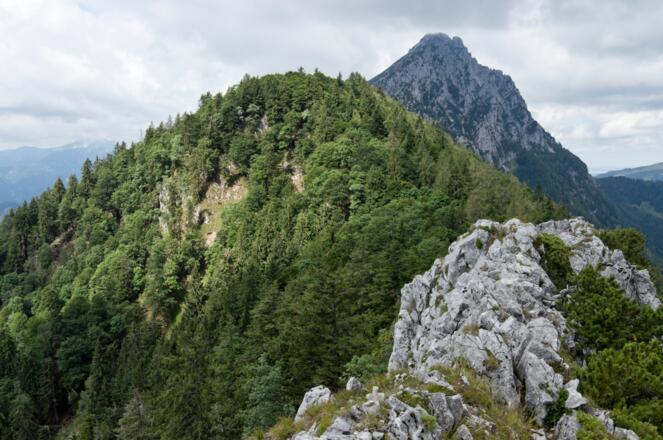 Gipfelblick vom Fuderheustein zum Hochstaufen