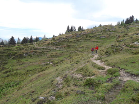 Almgelände vor der Weißensteinalm