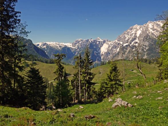 Auf dem Weg zur Königsbachalm