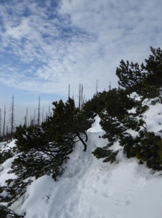 Pfad am Hang entlang