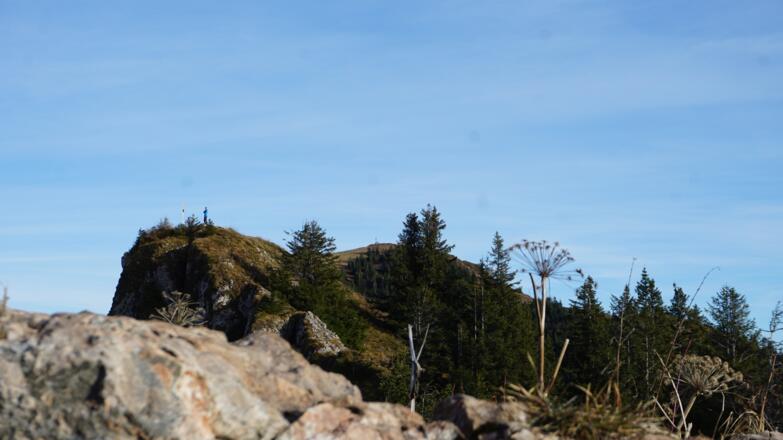 Blick über die Zwölferspitz zum Hochgern