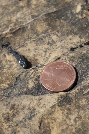 Pyrit und Limonit auf Mergelstein